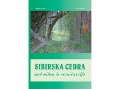 Sibirska cedra, med mitom in resničnostjo